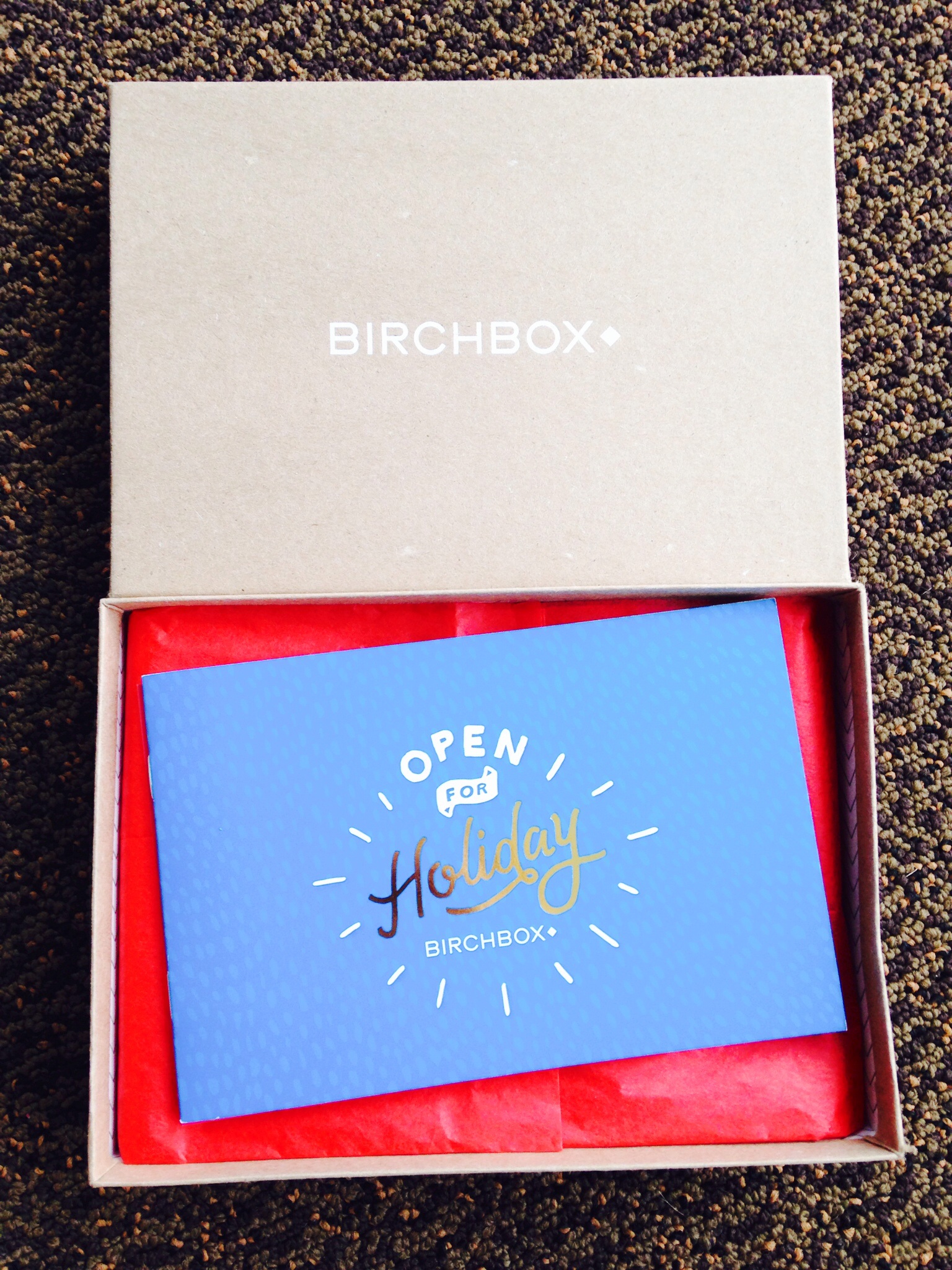 Birchbox OR Ipsy – November 2014