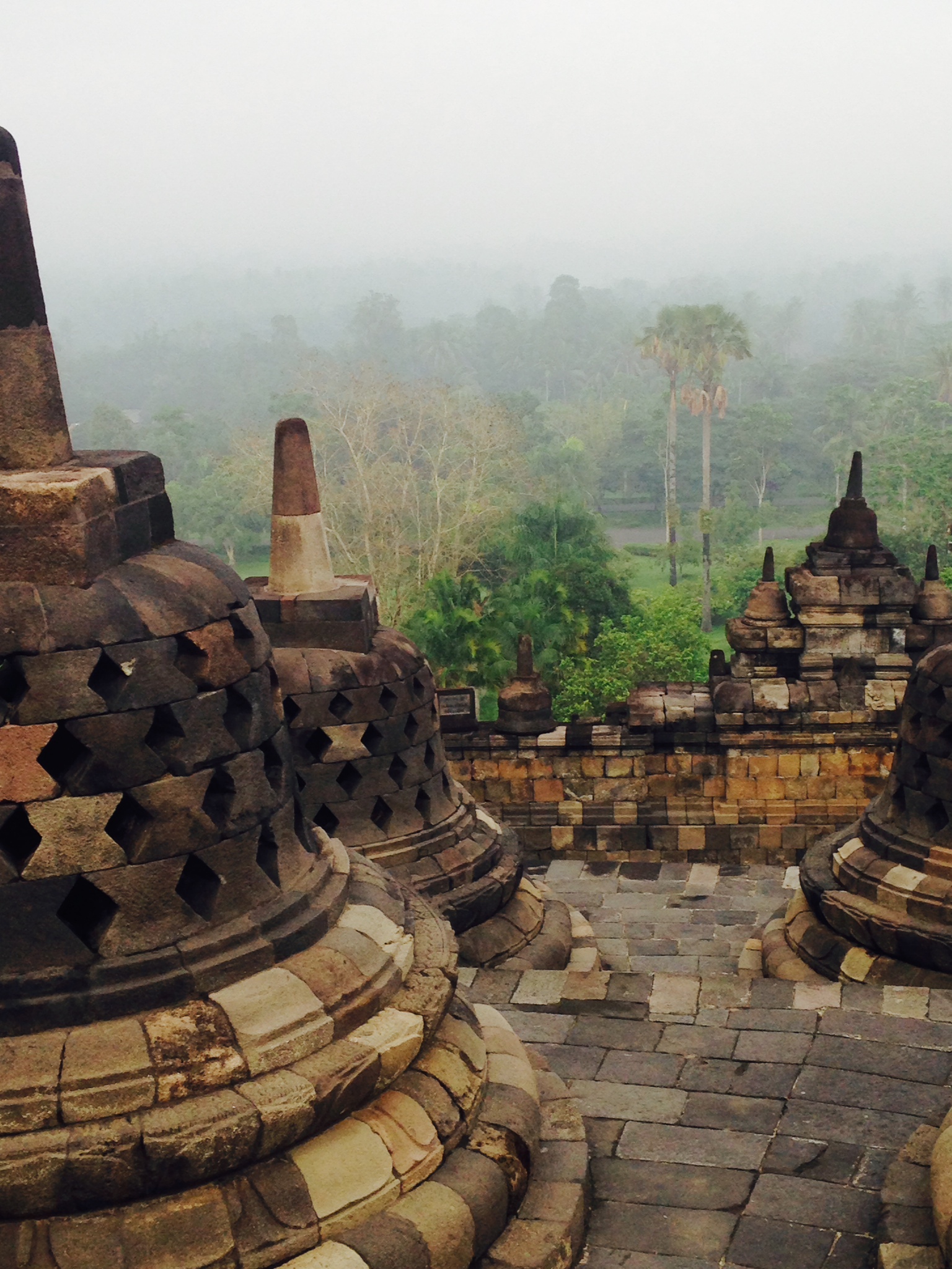 Alt text: The image shows a section of the Borobudur Temple in Indonesia, featuring large, intricately carved stone stupas in the foreground. The background is filled with lush green trees and vegetation, partially obscured by mist or fog, creating a serene and mystical atmosphere. The stone pathway and walls of the temple are also visible, showcasing the ancient architecture.