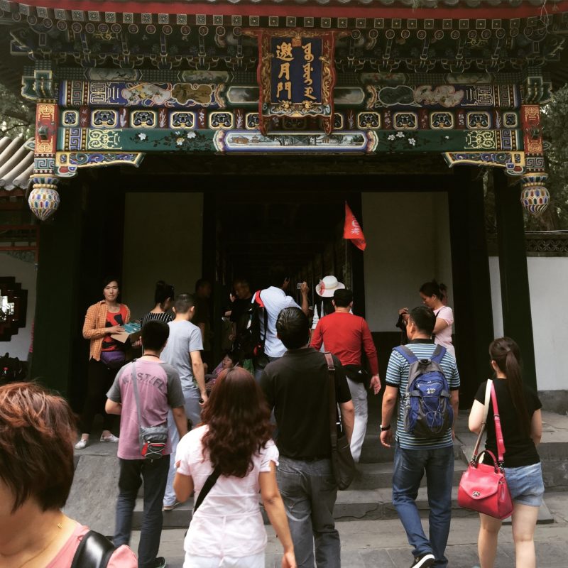 worst tour guide in the world